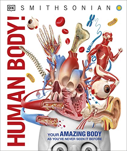 Human Body Illustration Diagram