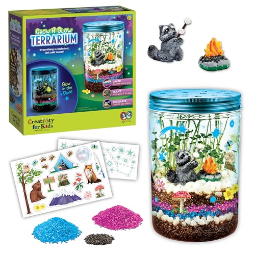 Terrarium crafting kit displayed