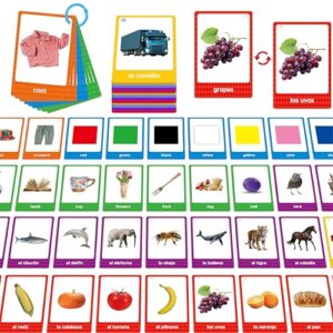 Colorful educational flashcards display