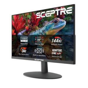 Sceptre monitor with features